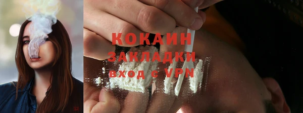 хмурый Арсеньев