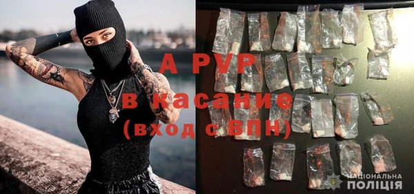 хмурый Арсеньев