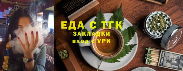 хмурый Арсеньев