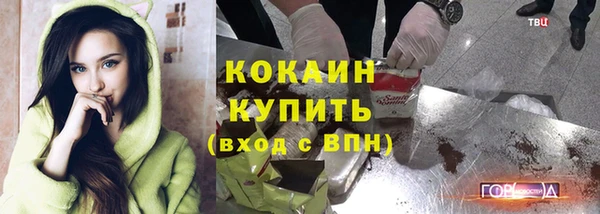 хмурый Арсеньев