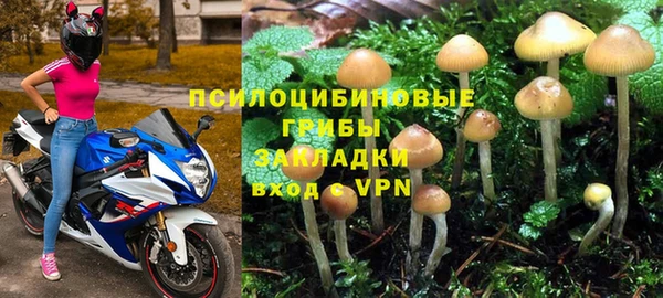 тгк Армянск