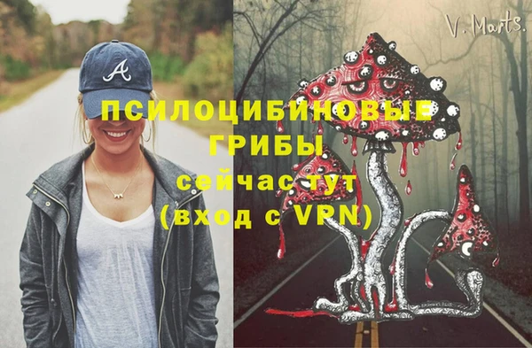 хмурый Арсеньев
